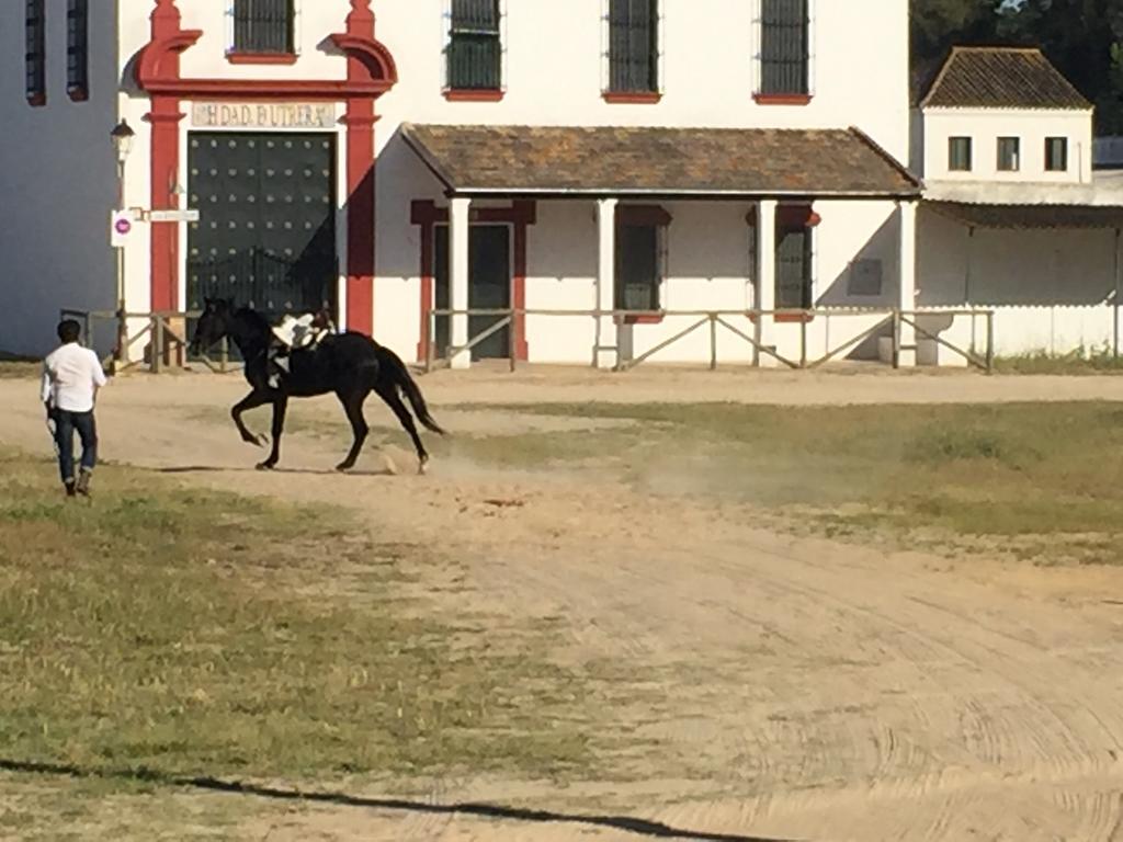 El Rocio Azul Alojamiento Rural Esterno foto